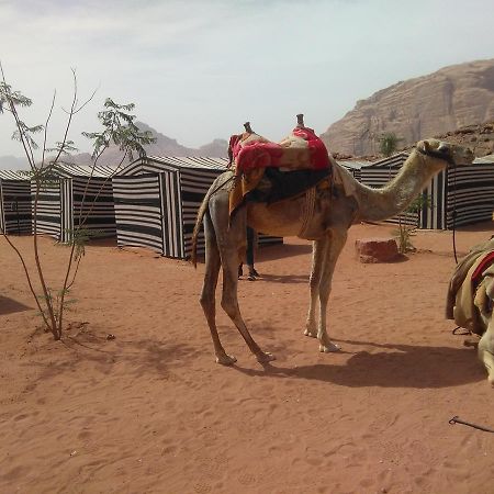 Rum Oasis Camp Wadi Rum Buitenkant foto