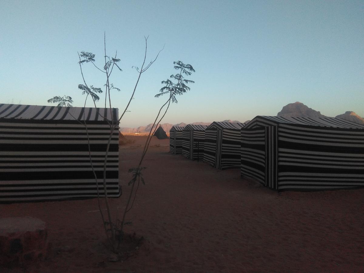 Rum Oasis Camp Wadi Rum Buitenkant foto