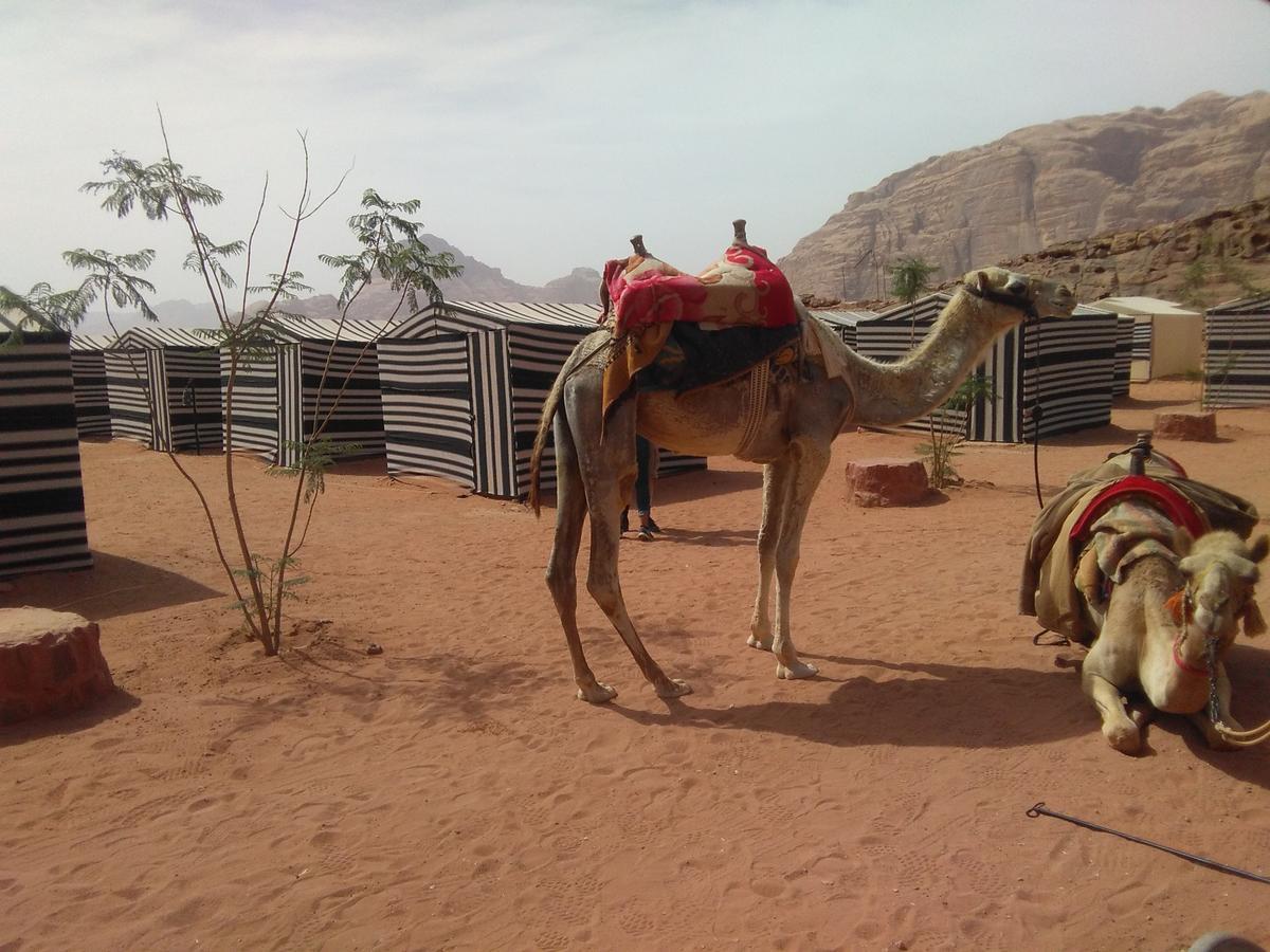 Rum Oasis Camp Wadi Rum Buitenkant foto