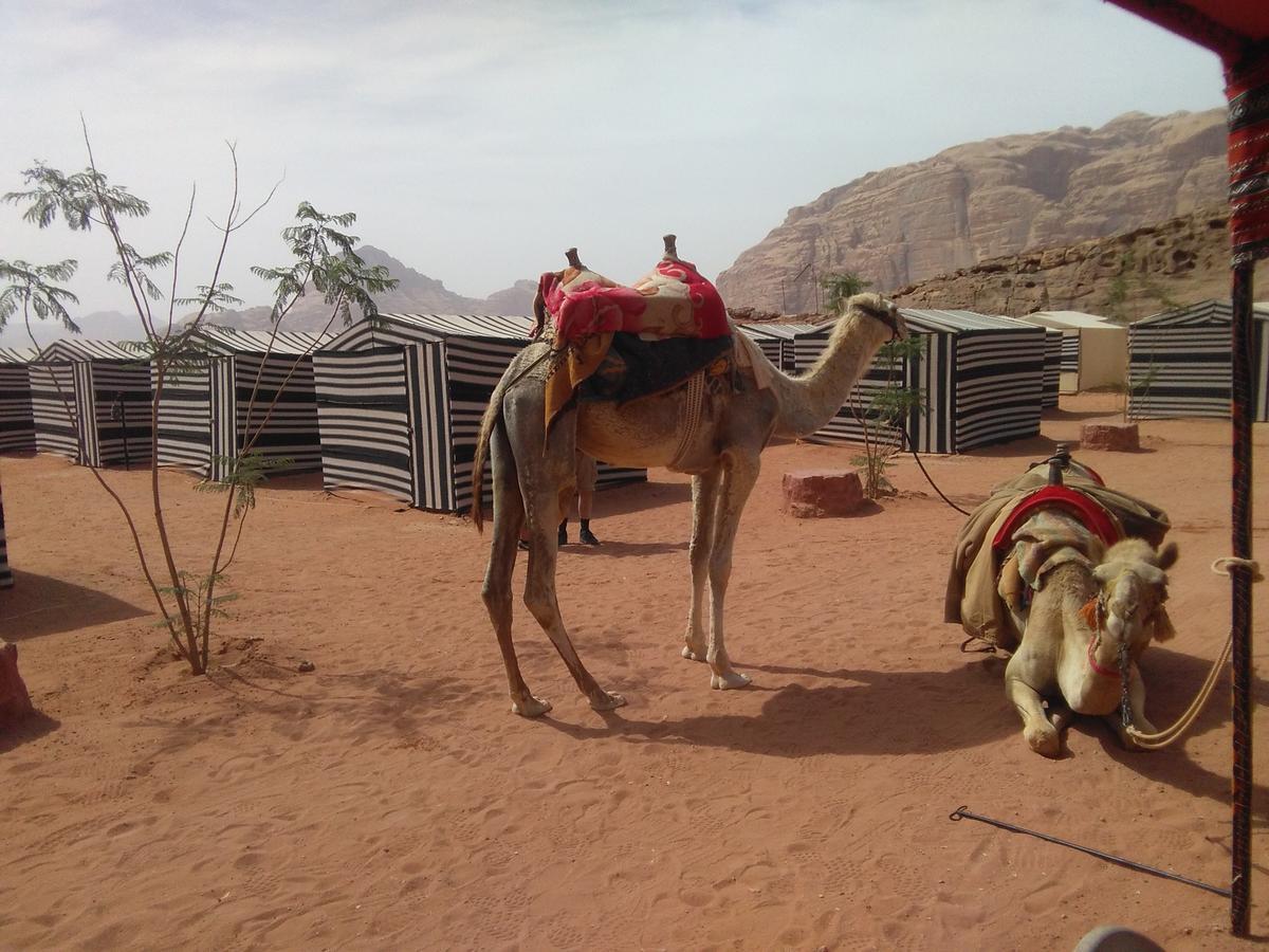 Rum Oasis Camp Wadi Rum Buitenkant foto